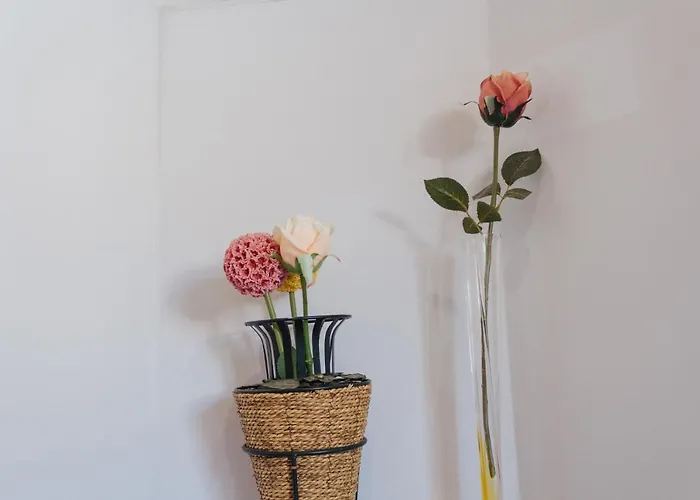 House Romantic * Порту