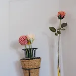House Romantic * ポルト